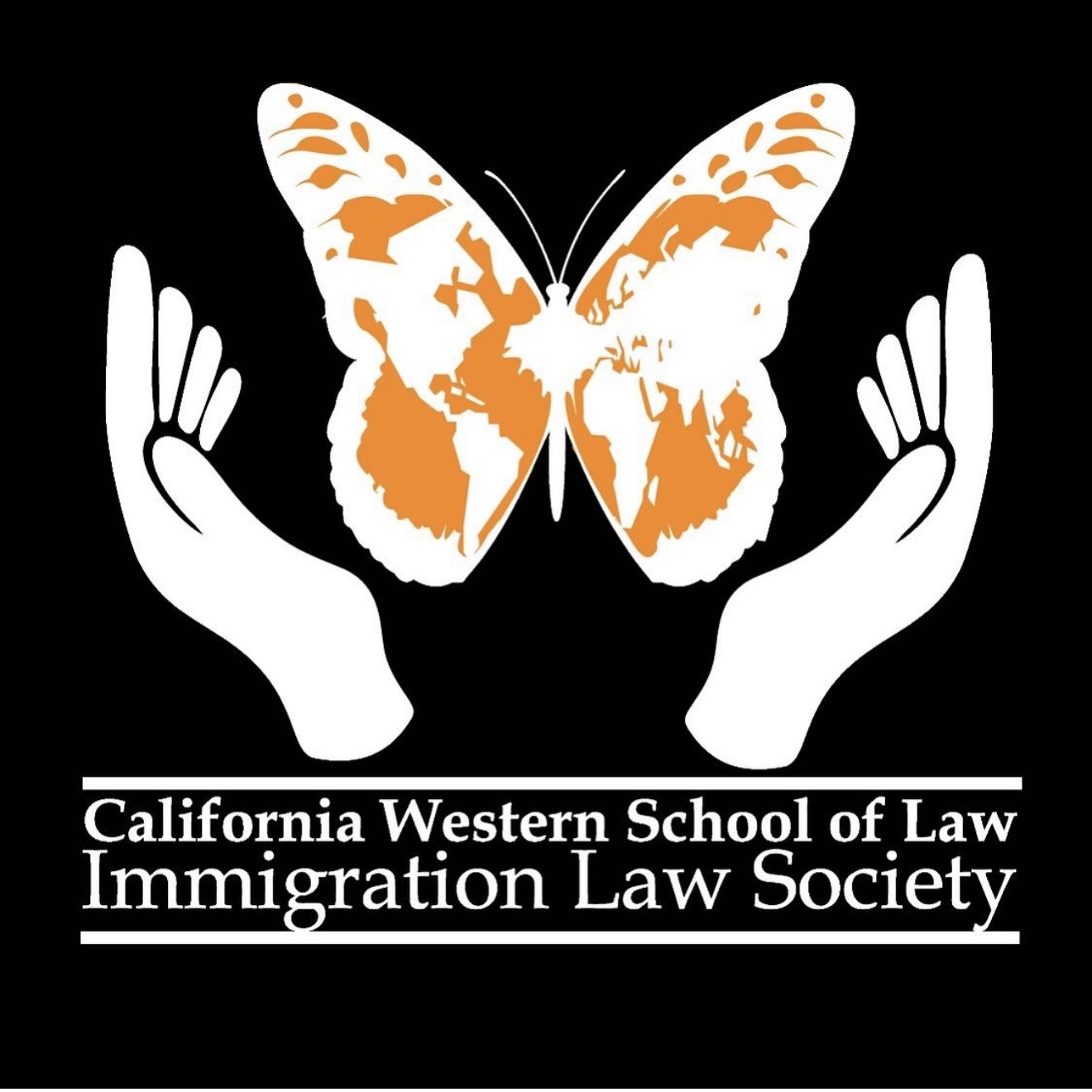 IMG 2008 Jazmin Valdovinos 1